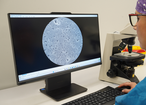 Técnica laboratorial durante a análise de uma amostra